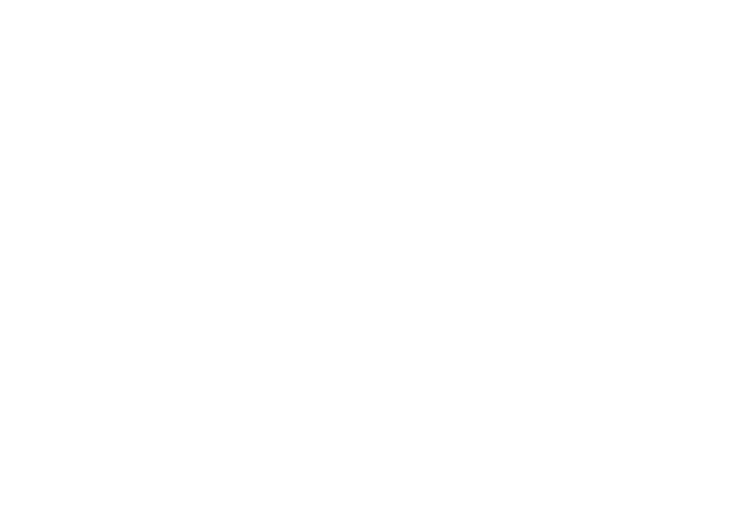 Aurora Regional Economic Alliance